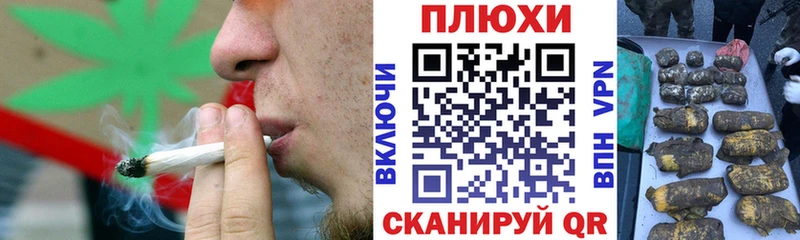 нарко площадка формула  Красавино  Гашиш индика сатива 