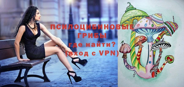 apvp Абаза
