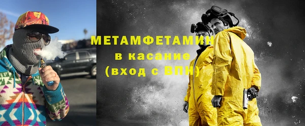 индика Алексин