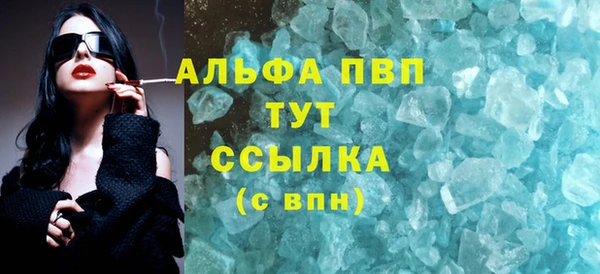 индика Алексин