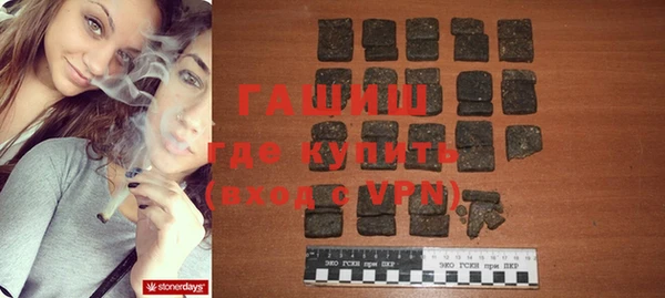 индика Алексин