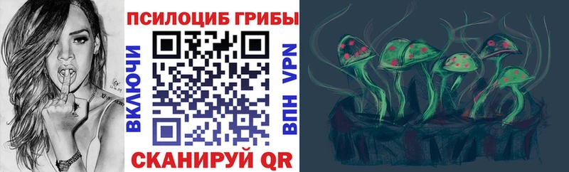 наркошоп  Красавино  Псилоцибиновые грибы GOLDEN TEACHER 