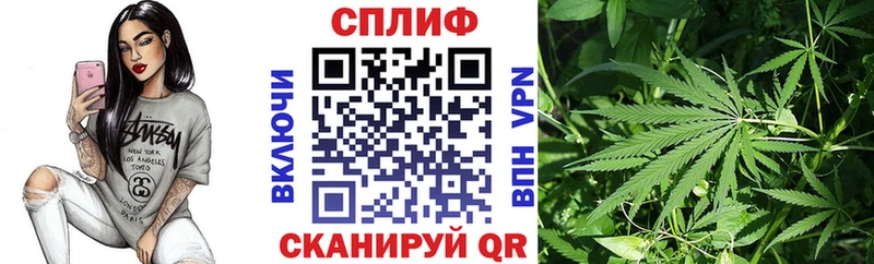 наркота  нарко площадка формула  Конопля семена  Красавино 